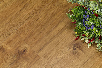 FF-1500 Wood FF-1569 Дуб Клен Верден фото 1 | FLOORDEALER